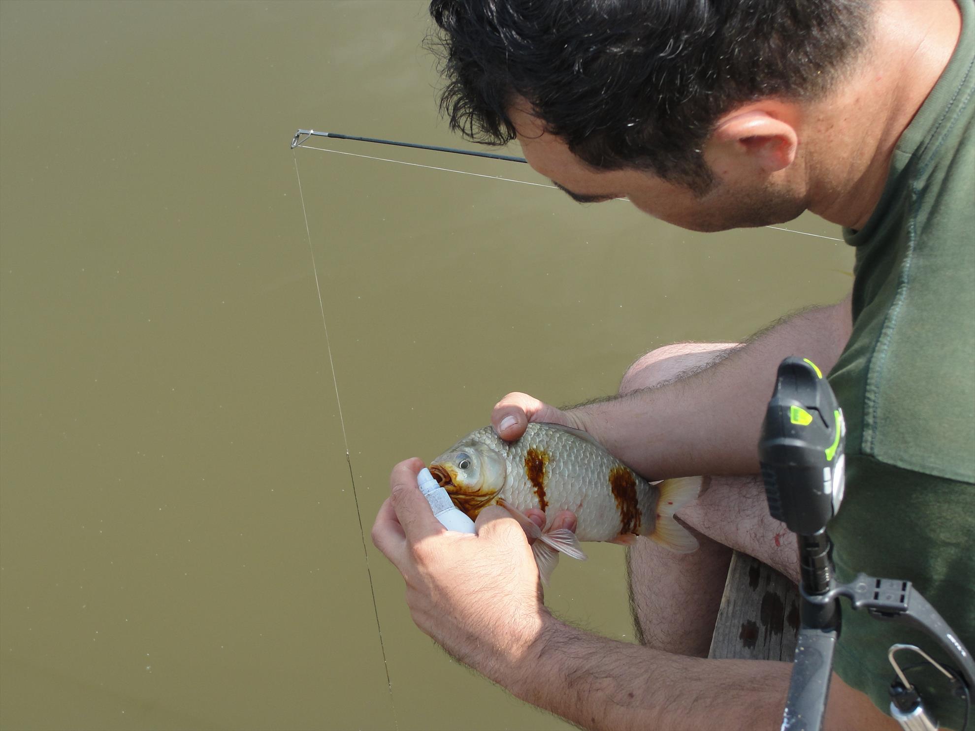 Magura 9 1 - 3 aug. - dsc01052.JPG